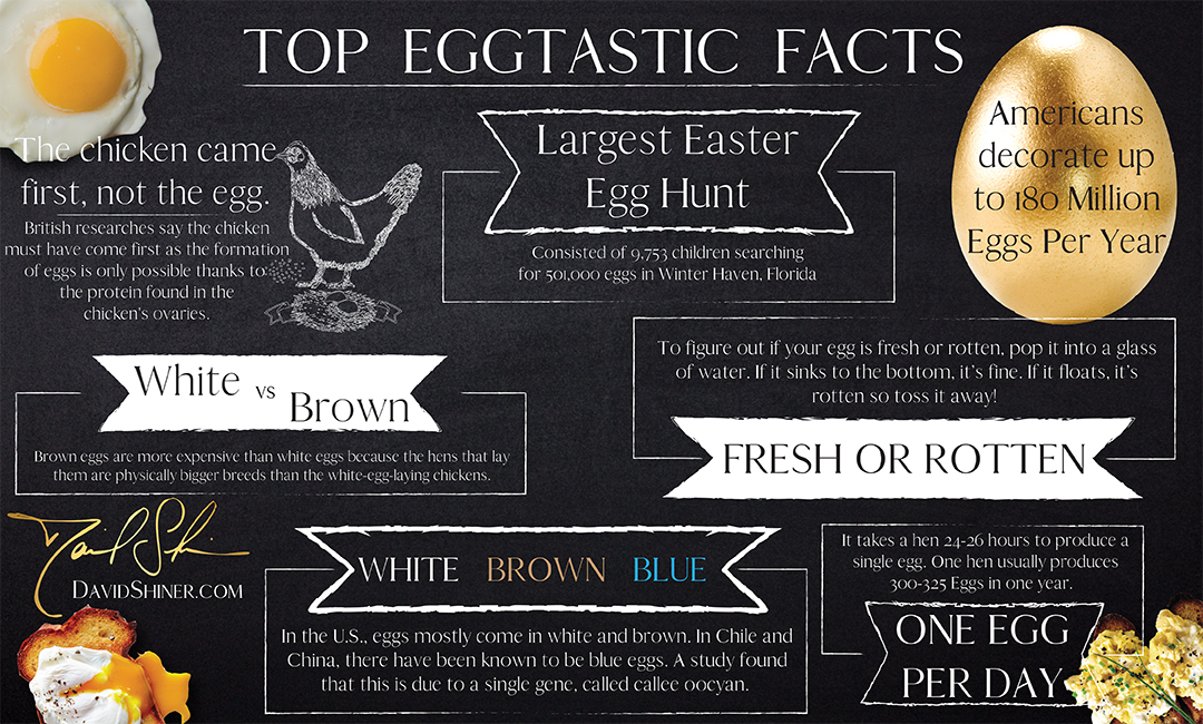 Eggtastic Easter Egg Facts David I Shiner Easter Egg Facts David I Shiner