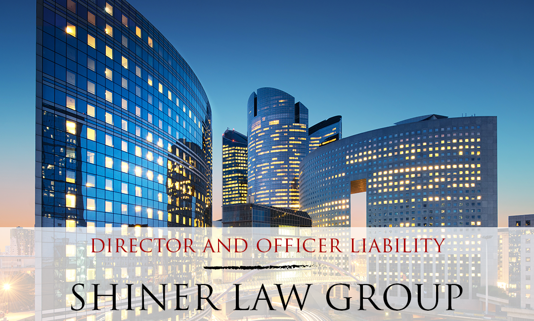 Director and Officer Liability